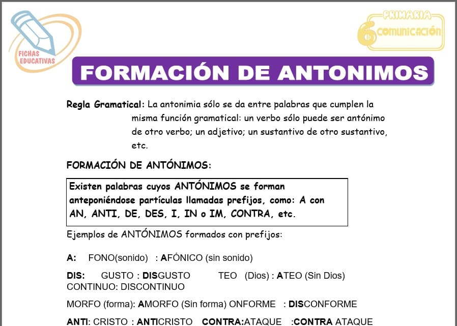 Formación de antónimos para sexto de primaria