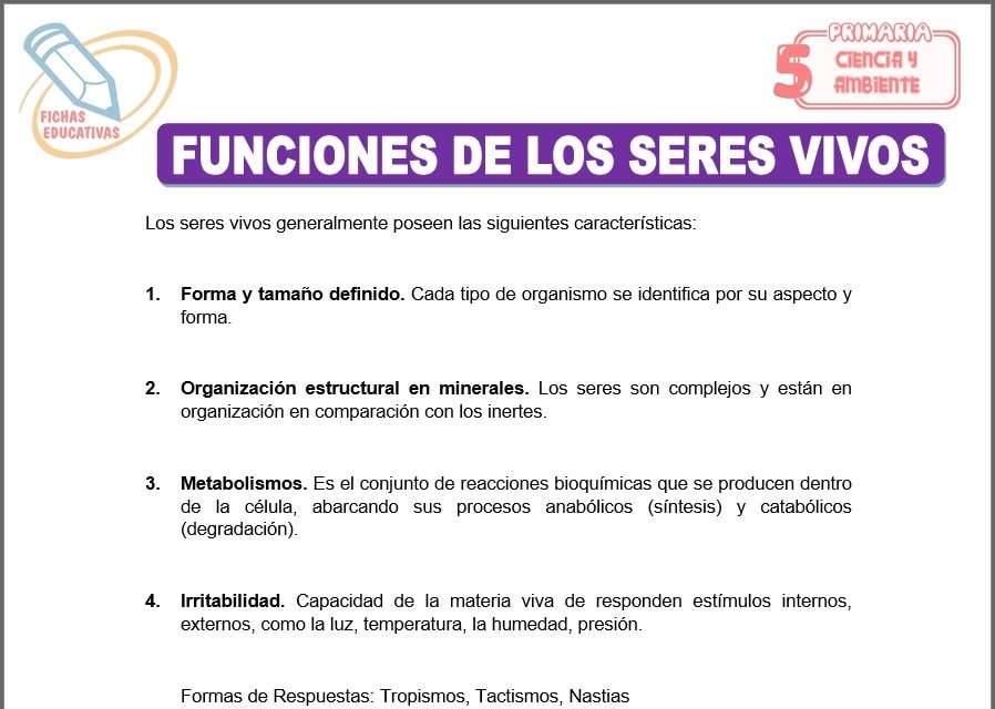 Funciones de los seres vivos para quinto de primaria