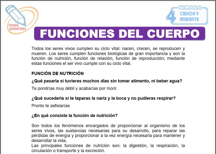 Funciones del cuerpo para cuarto de primaria