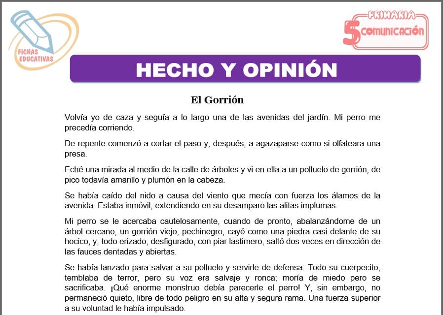 Hecho y opinión para quinto de primaria
