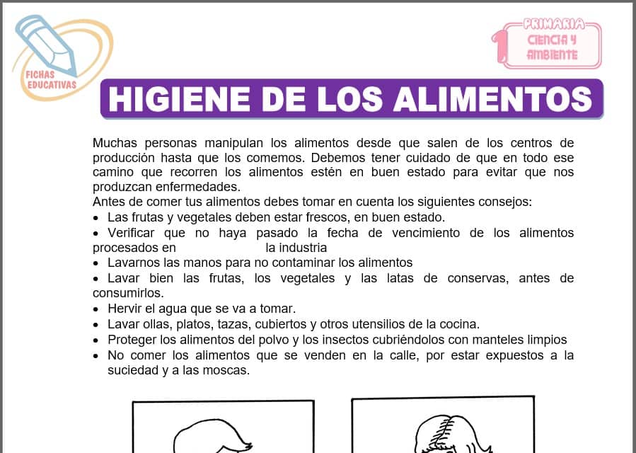 Higiene de los alimentos para primero de primaria