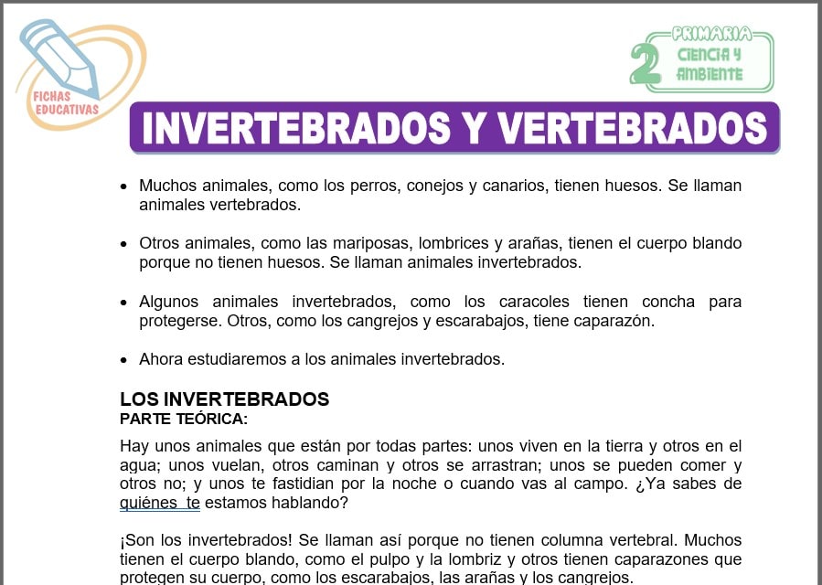 Invertebrados y vertebrados para Segundo de Primaria Invertebrados y vertebrados para segundo de primaria