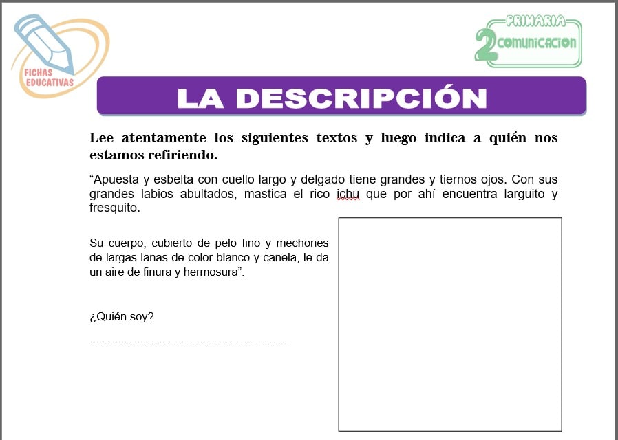 La descripción para segundo de primaria