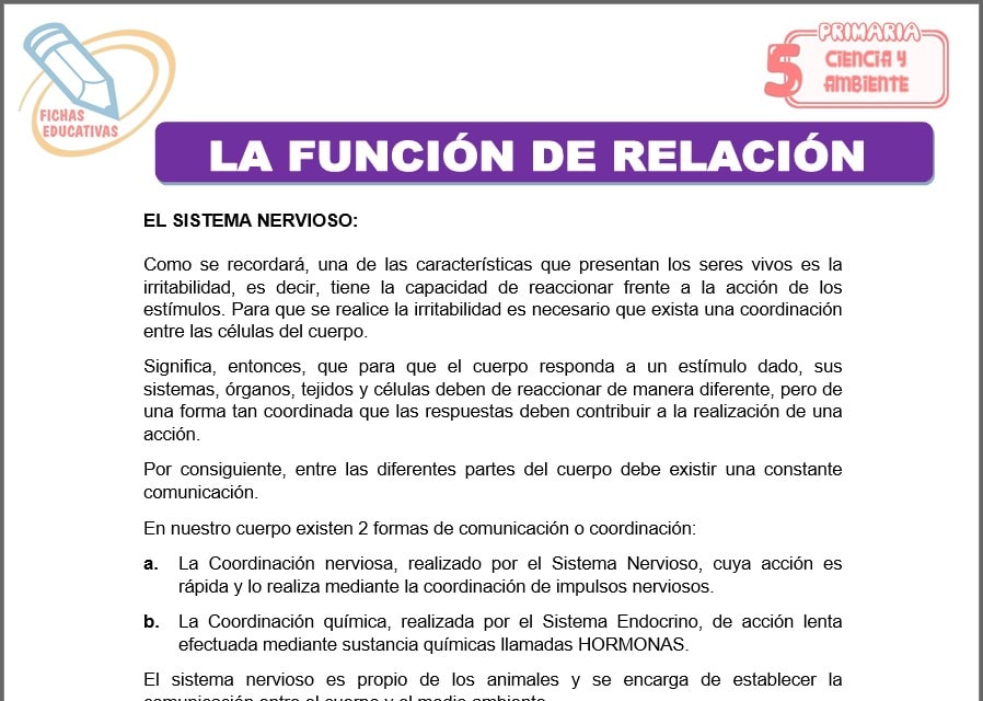 La función de relación para quinto de primaria