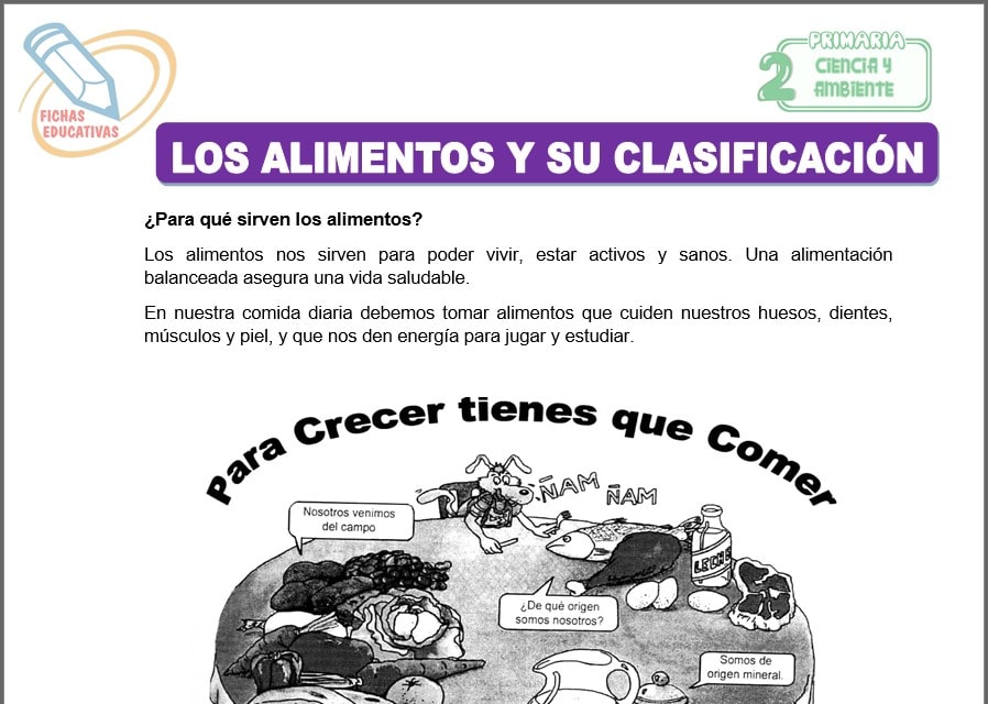 Los alimentos y su clasificación para segundo de primaria