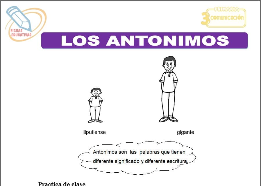 Los antónimos para tercero de primaria