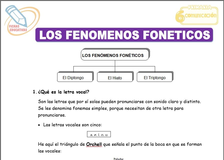 Los fenómenos fonéticos para sexto de primaria
