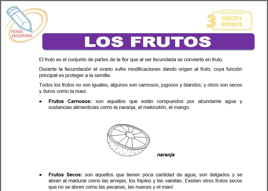 Los frutos para tercero de primaria