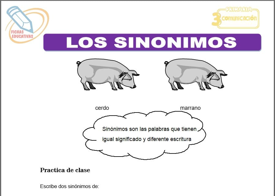 Los sinónimos para tercero de primaria