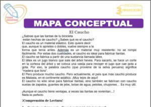 Mapa Conceptual para tercero de primaria