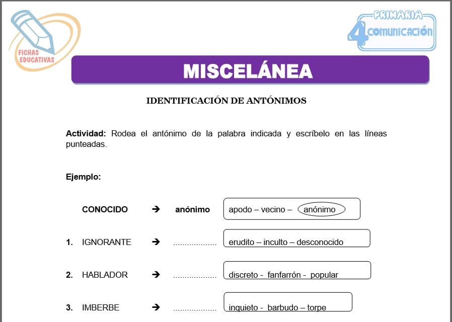 Miscelánea para cuarto de primaria