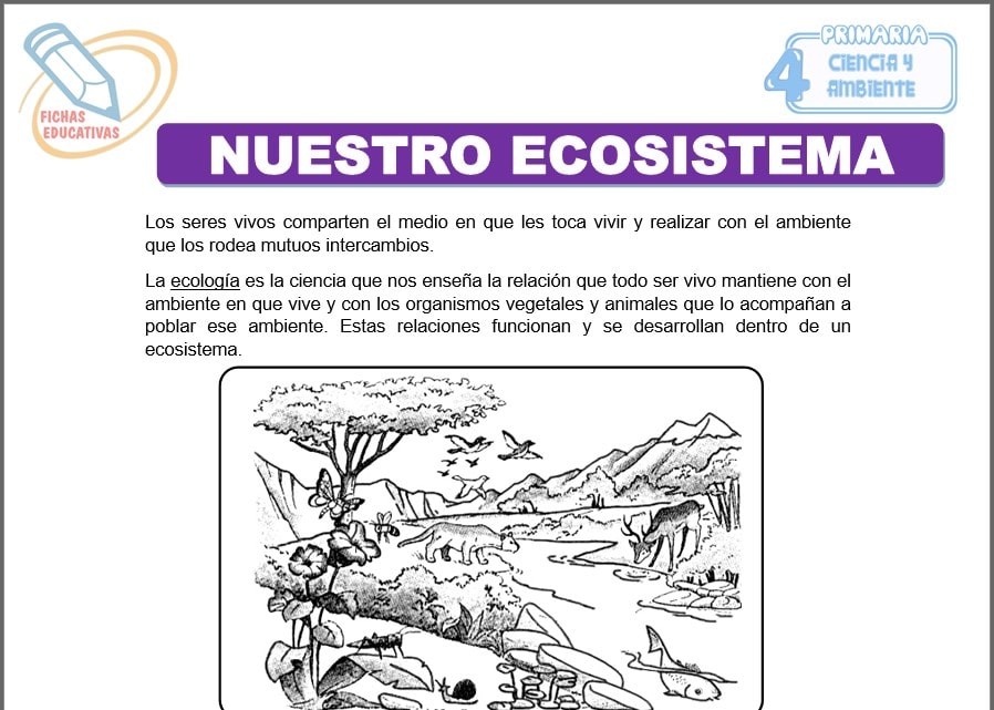 Nuestro ecosistema para cuarto de primaria