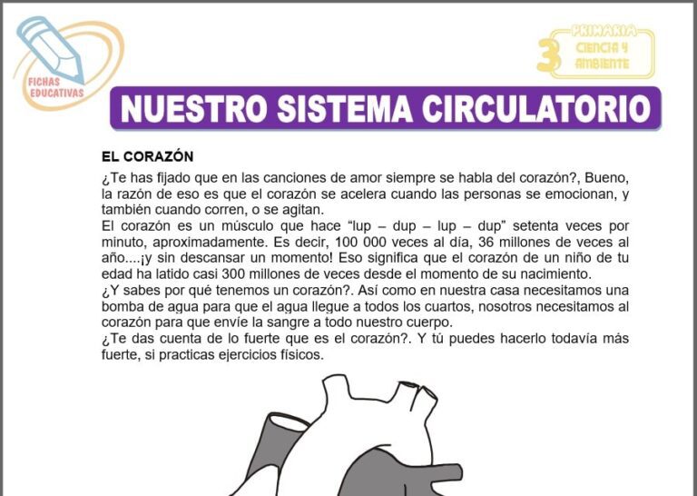 Nuestro sistema circulatorio para Tercero de Primaria
