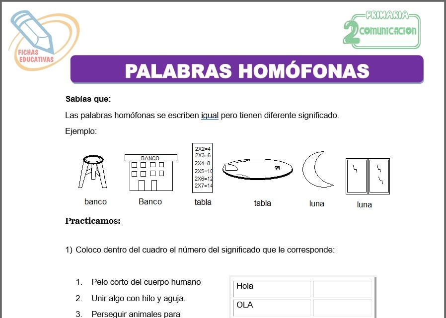 Palabras homófona para segundo de primaria