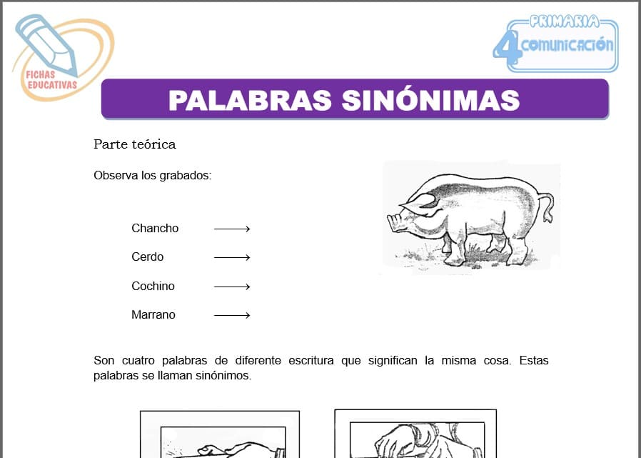 Palabras sinónimas para cuarto de primaria
