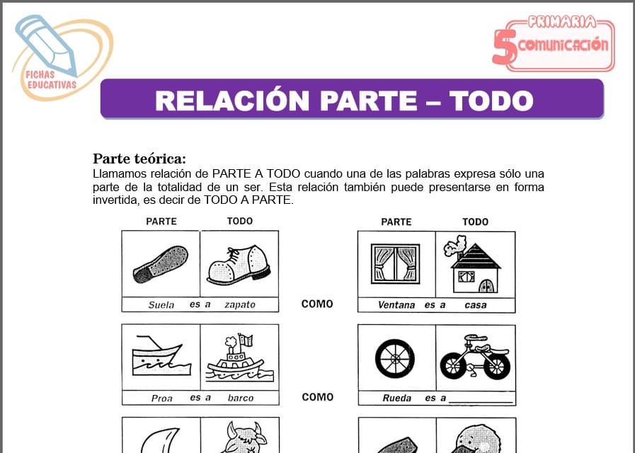Relación parte - todo para quinto de primaria