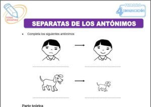Separatas de los antónimos para cuarto de primaria