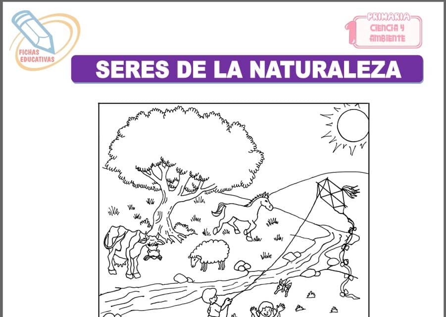 Seres de la naturaleza para primero de primaria
