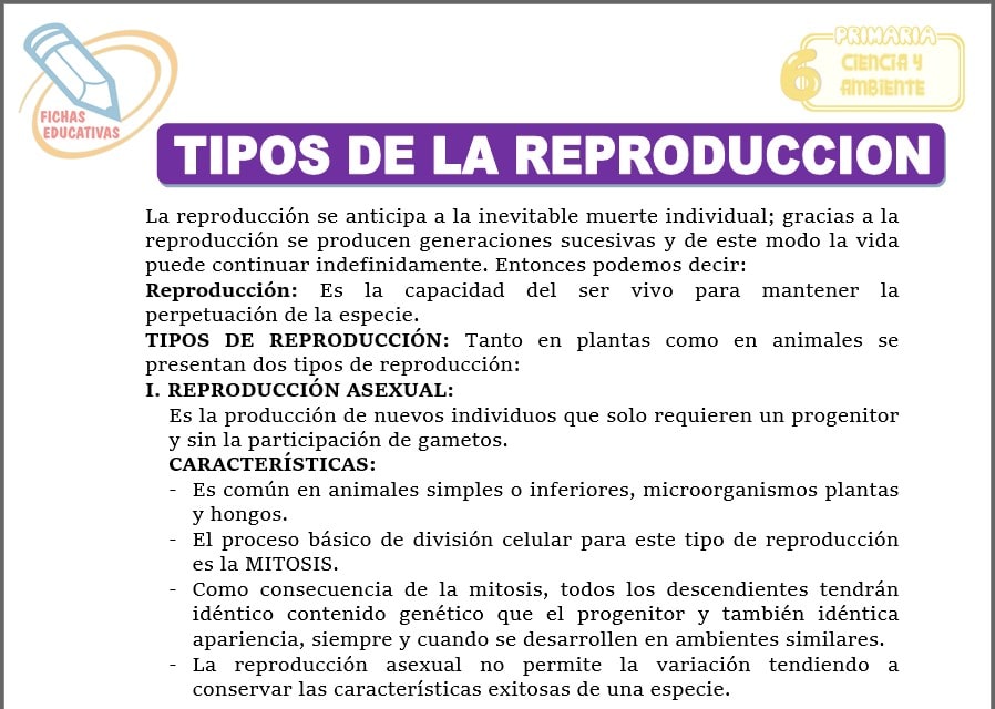 Tipos de la reproducción para sexto de primaria