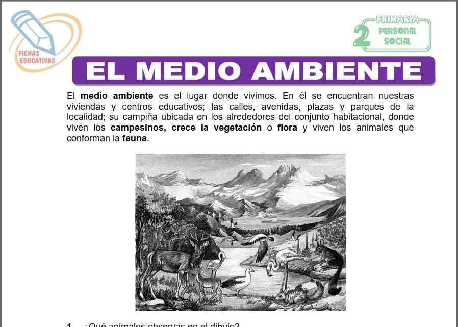 El medio ambiente para segundo de primaria