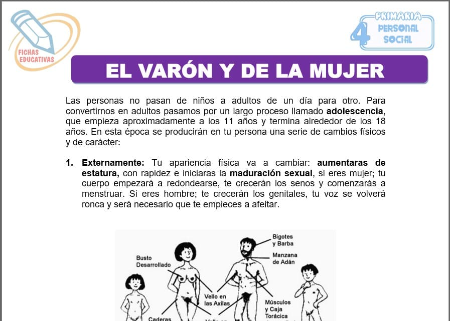 El varón y de la mujer para cuarto de primaria