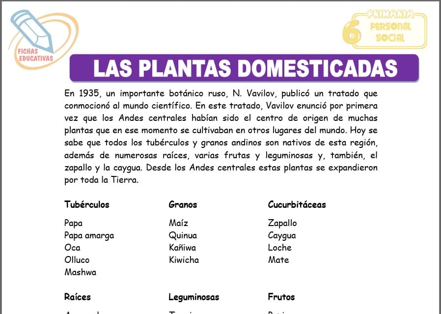 Las plantas domesticadas para sexto de primaria