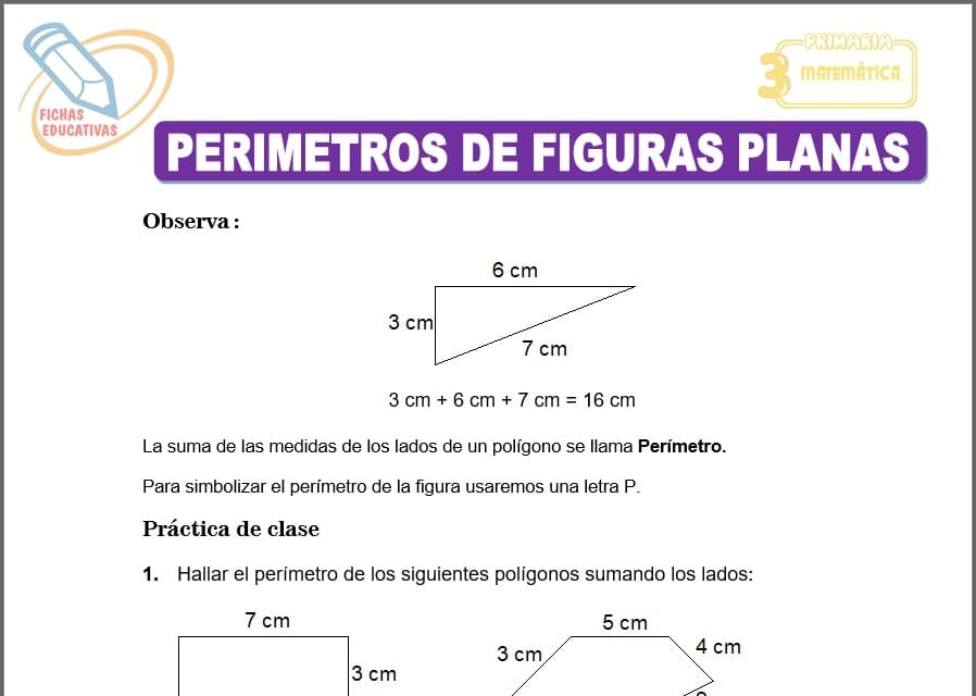 Perímetros de figuras planas para tercero de primaria