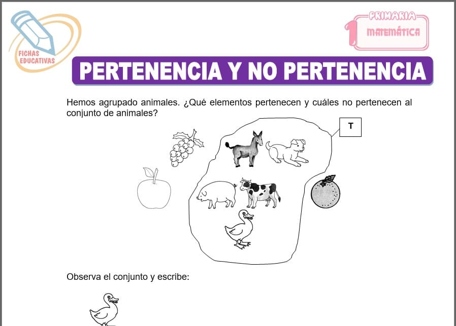 Pertenencia y no pertenencia para primero de primaria